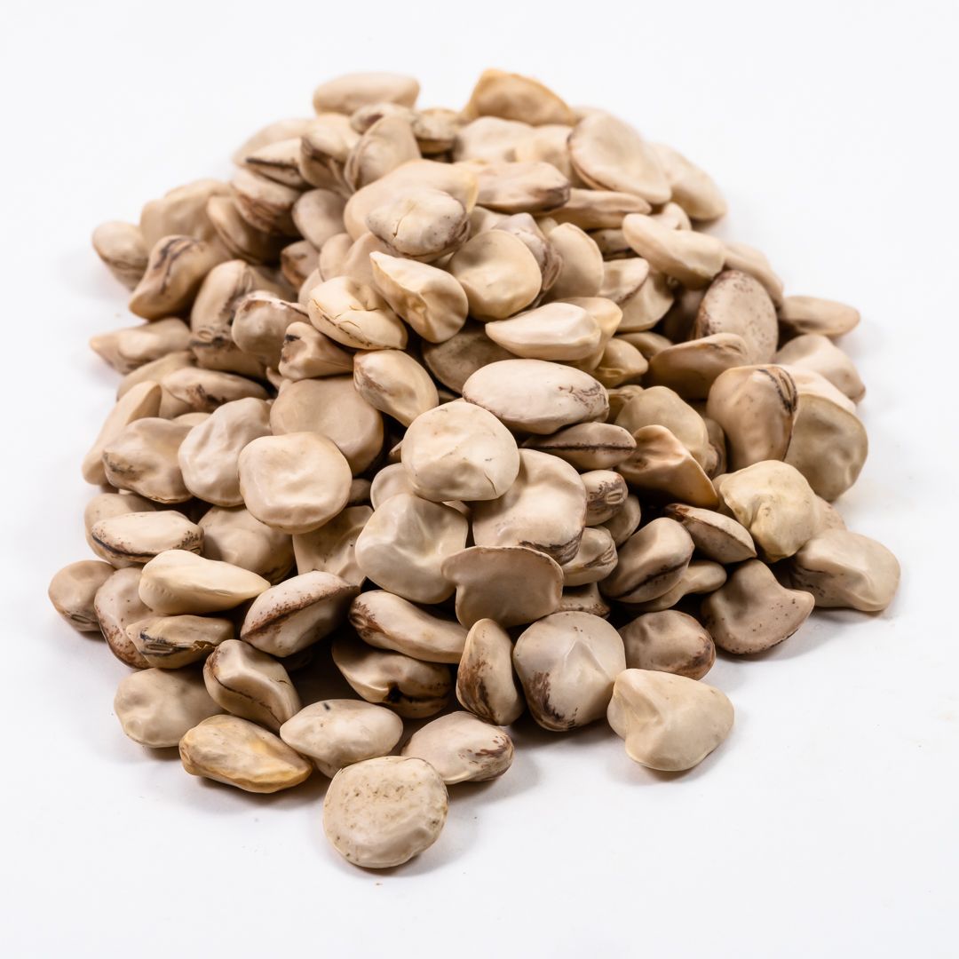 Cicerchia